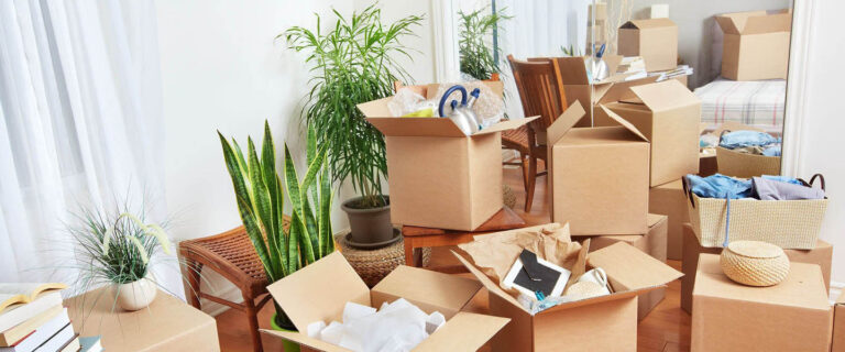Packers and Movers in Anand Vihar