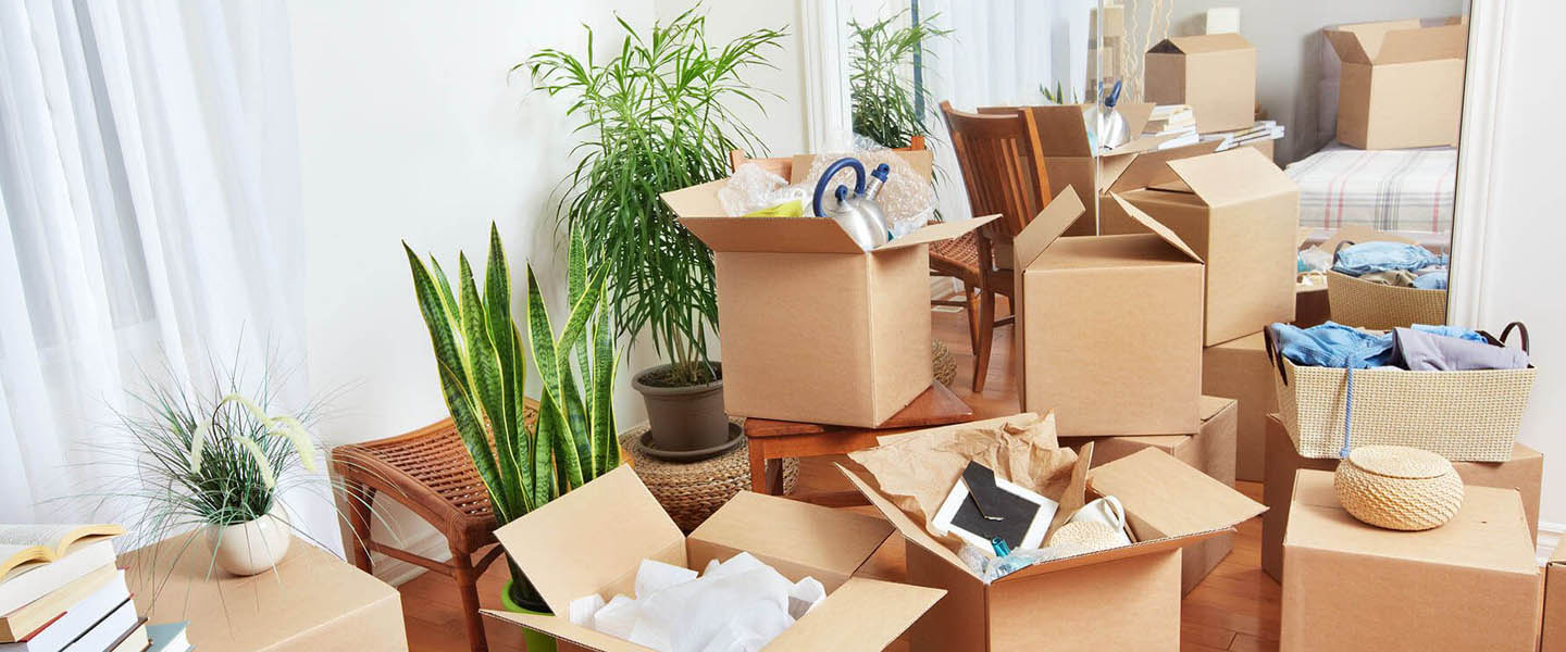 Packers and Movers in Anand Vihar