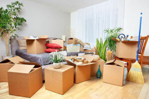 packers and movers in Krishna Nagar