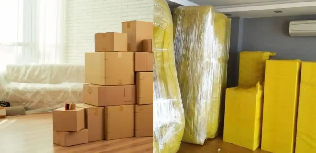 Packers and Movers in Mayur Vihar